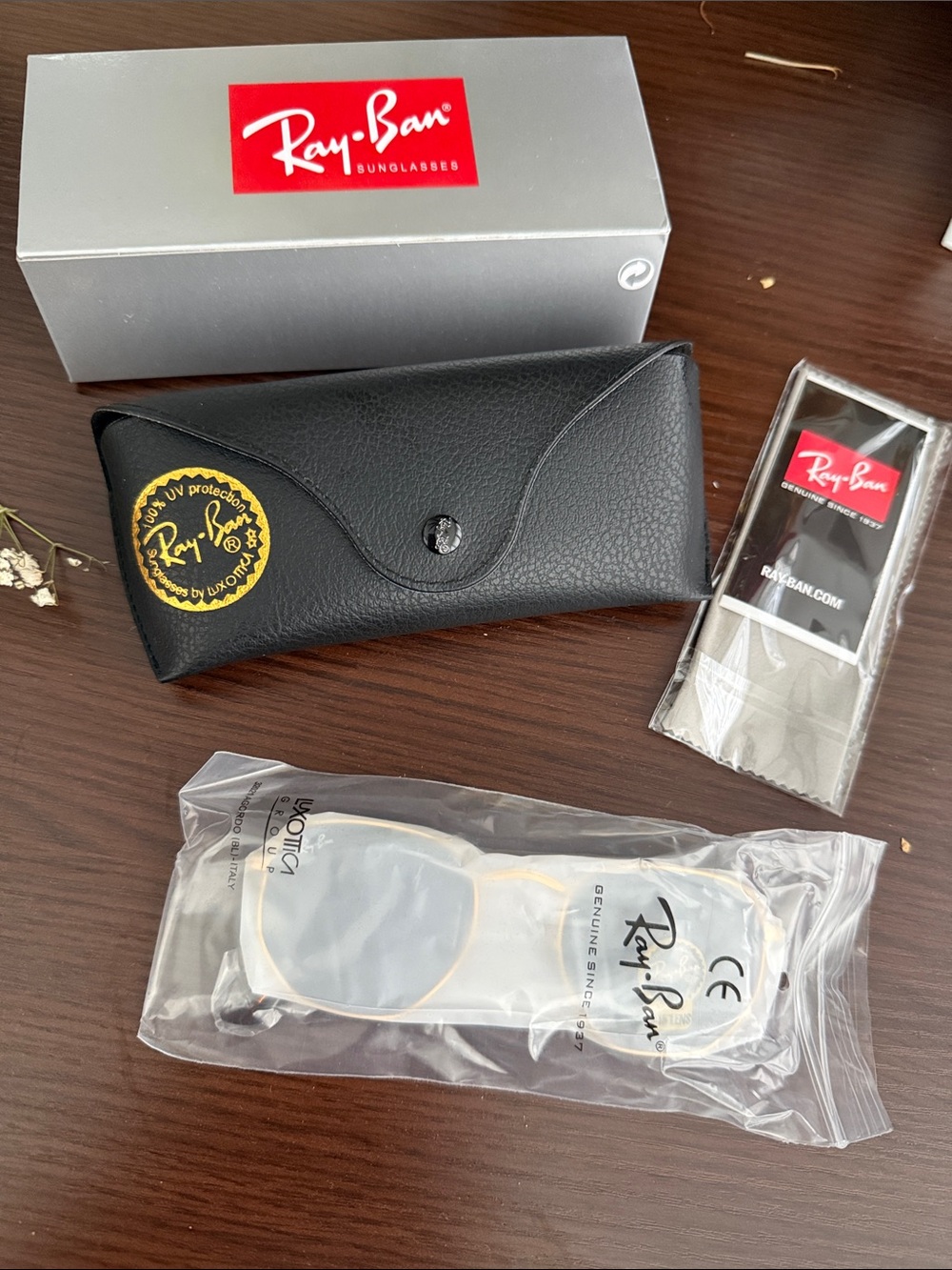 Ray-Ban Black Sunglasses